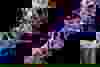 Brightly coloured section of genetic code